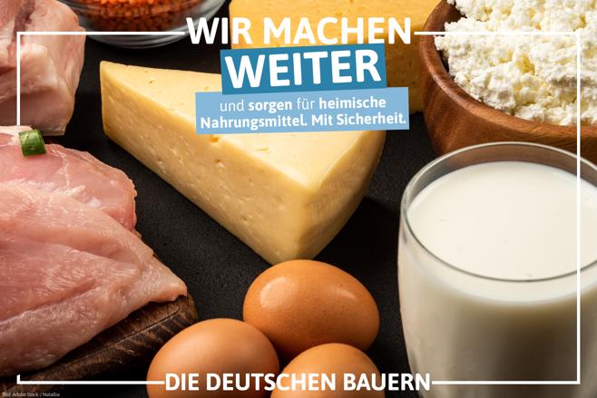 Käse