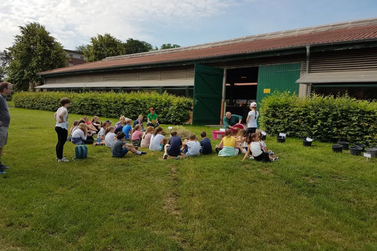 Grünes Klassenzimmer 2019