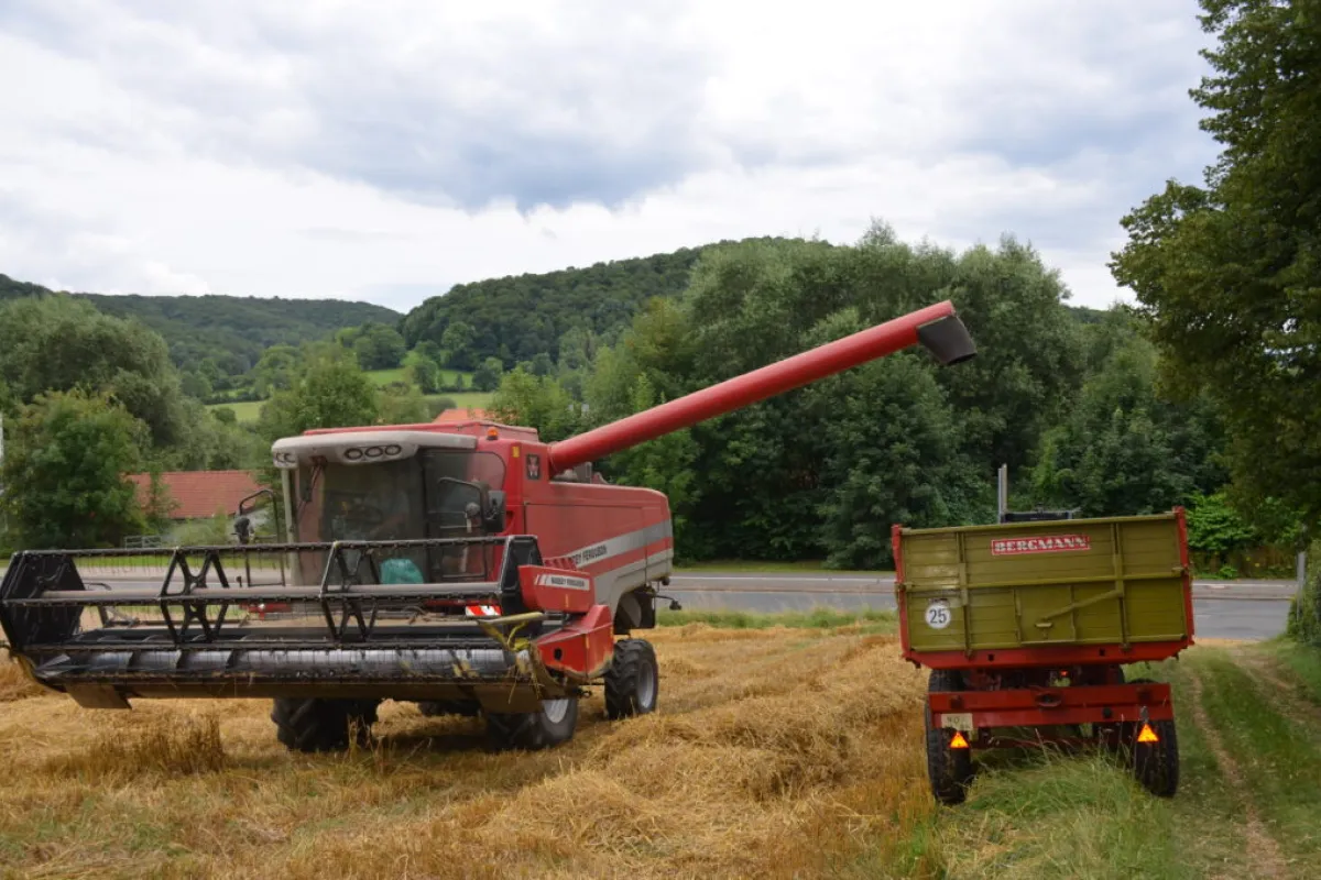 Niedersachsens Landwirte verzeichnen Ernteverluste
