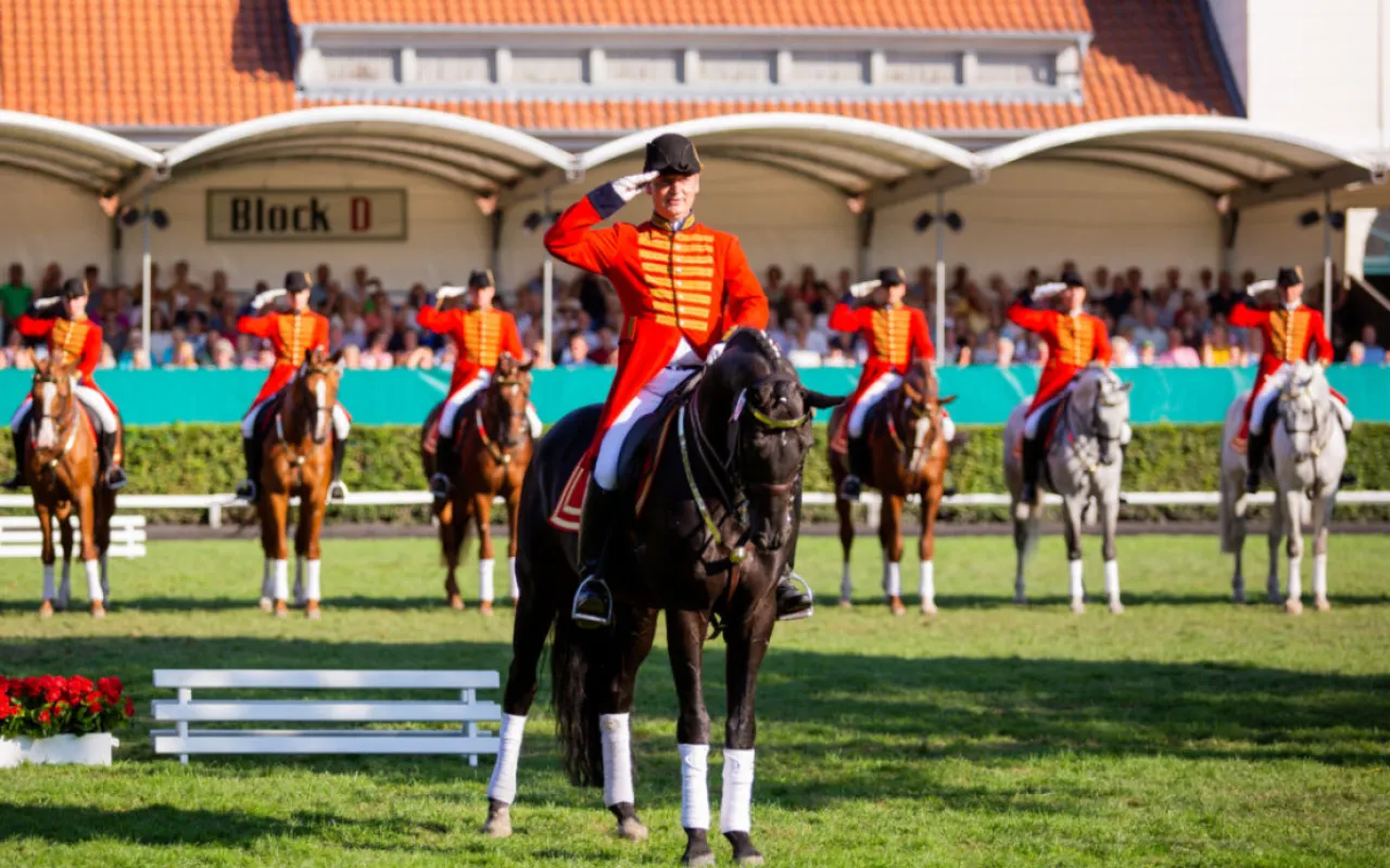 Tradition kehrt zurück: Neuauflage der Hengstparade