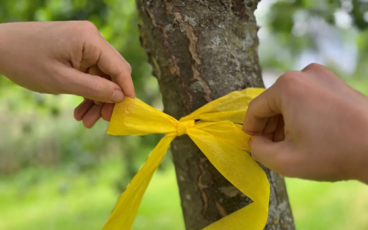 Ernte ist zu „Zu gut für die Tonne“