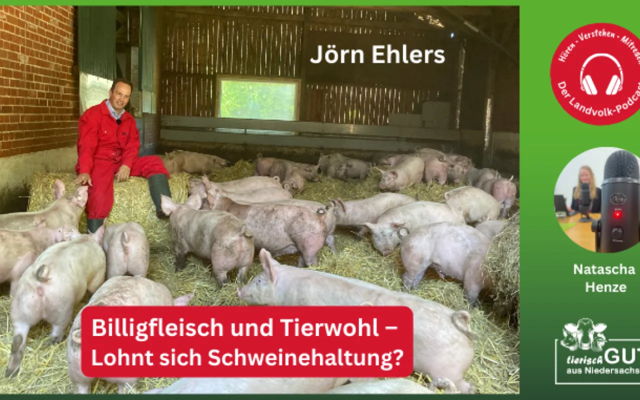 Bauern stemmen Versorgung und ächzen unter Kritik