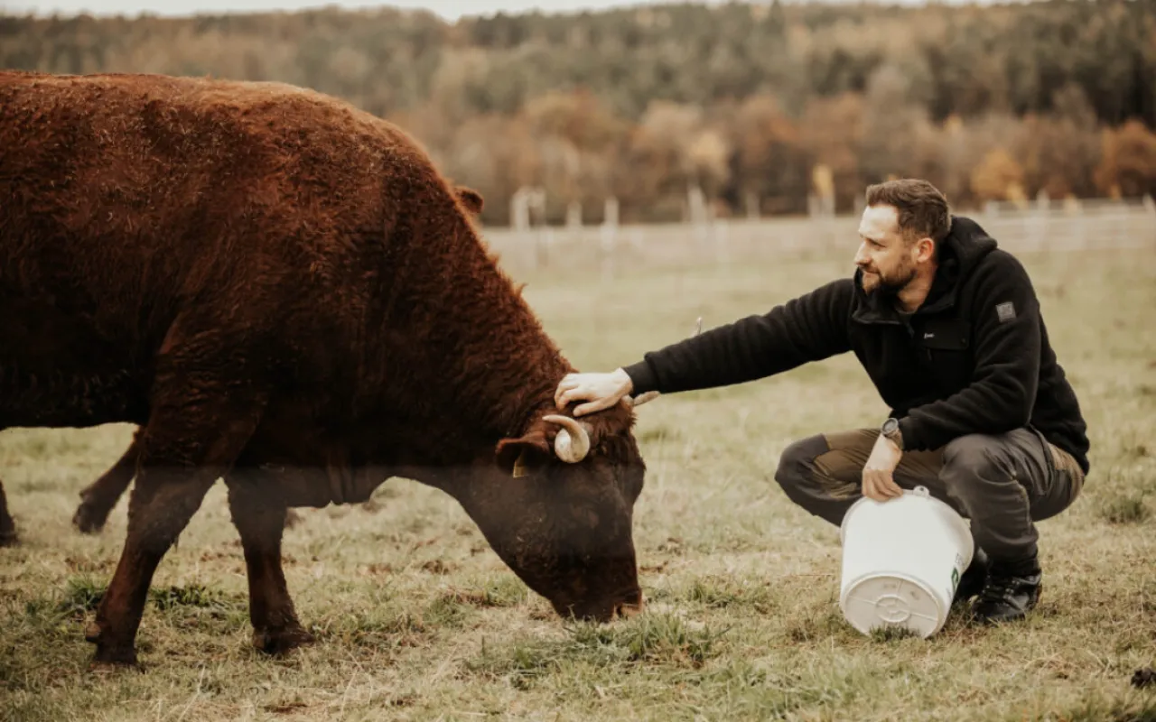 Wenn Arbeit zur Last wird: Seelische Gesundheit in der Landwirtschaft