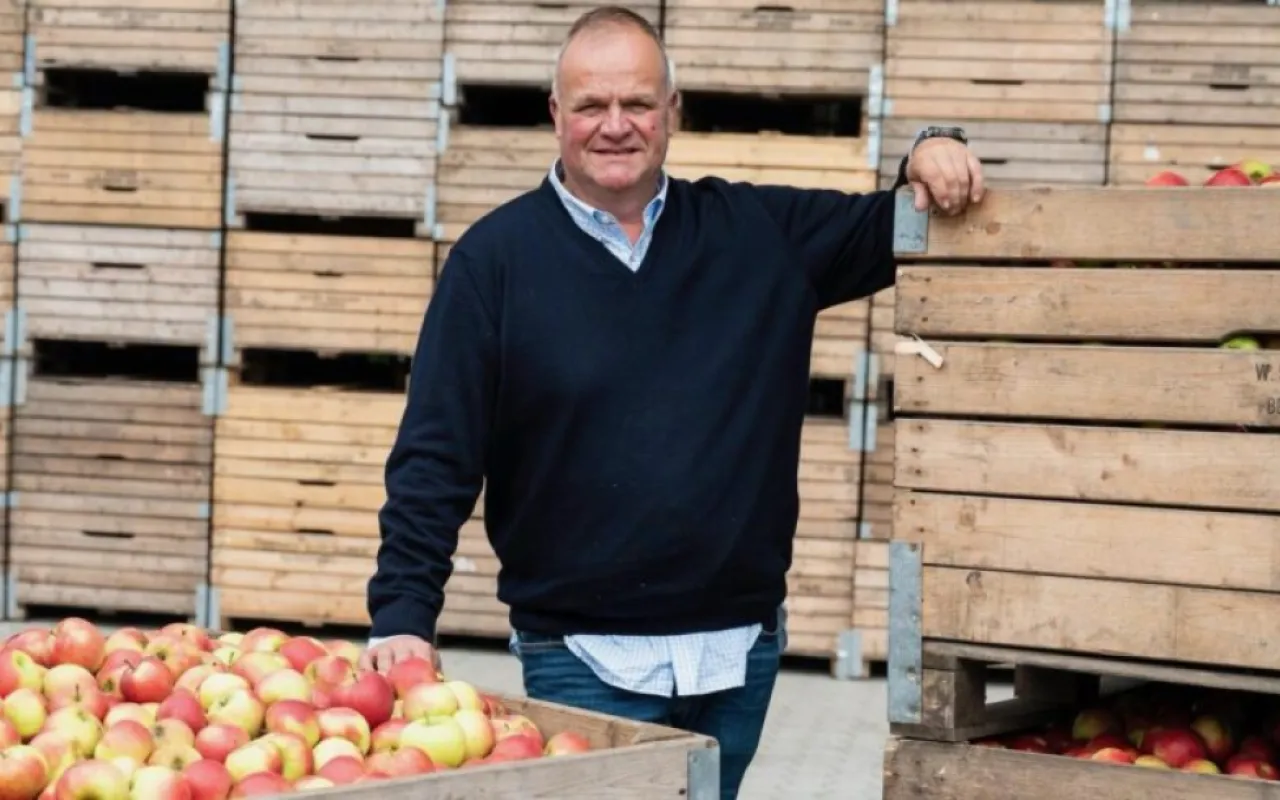 Halbzeit bei der Apfelernte im Alten Land