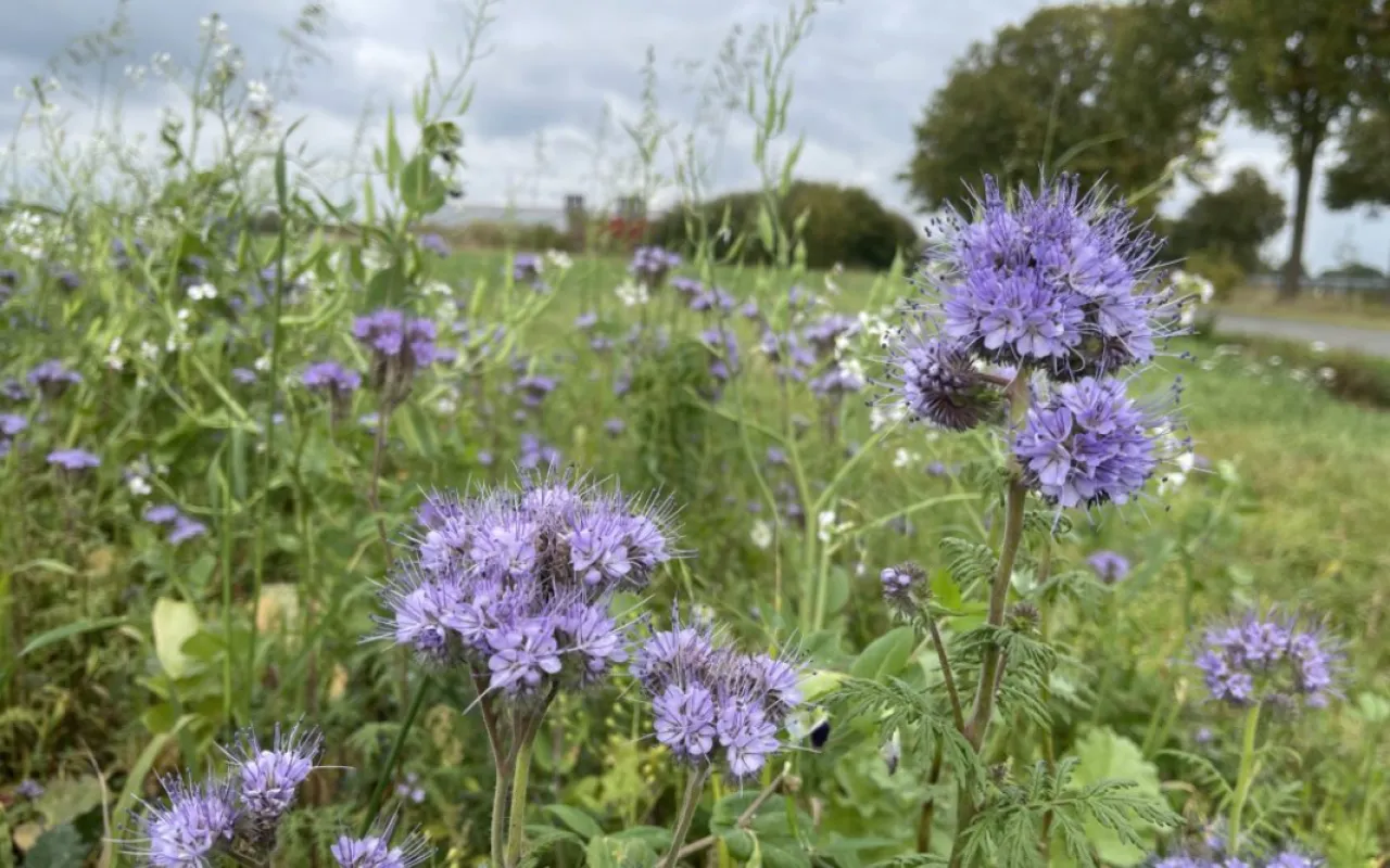 Agrardialog stärkt Austausch über Artenvielfalt