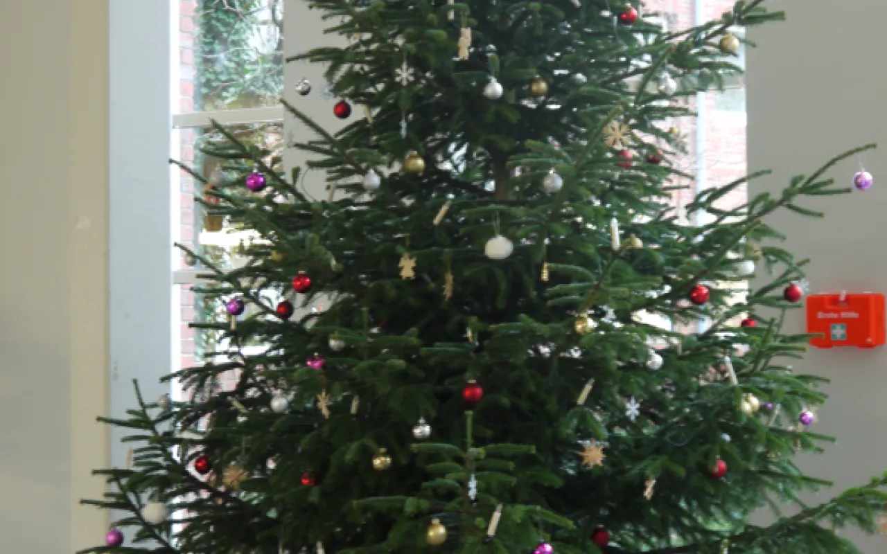 Weihnachtsbaum