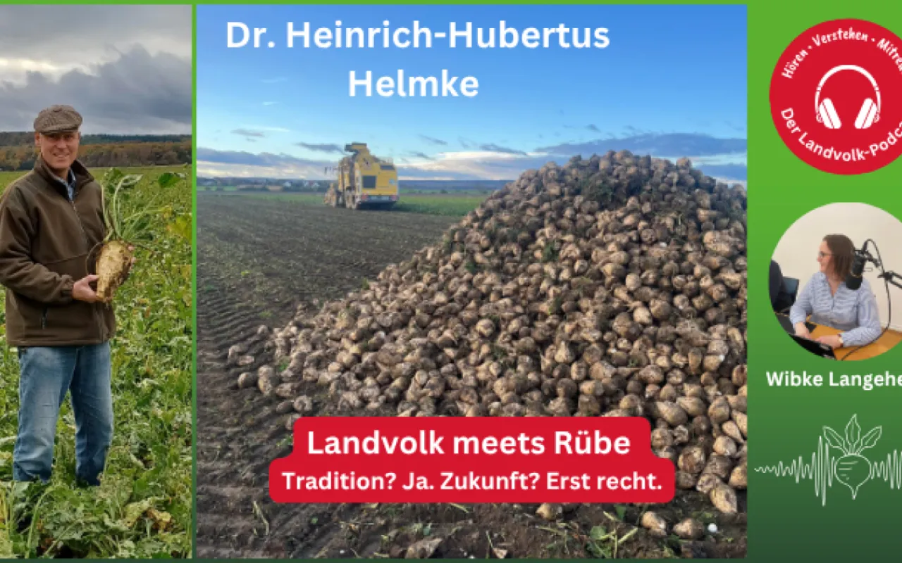 Die süße Rübe bleibt für den Norden unverzichtbar