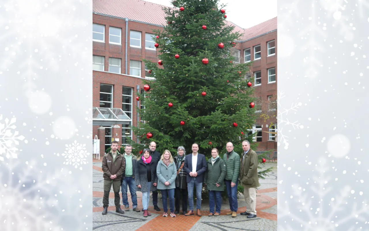Tannen aus dem Landkreis für den Landkreis