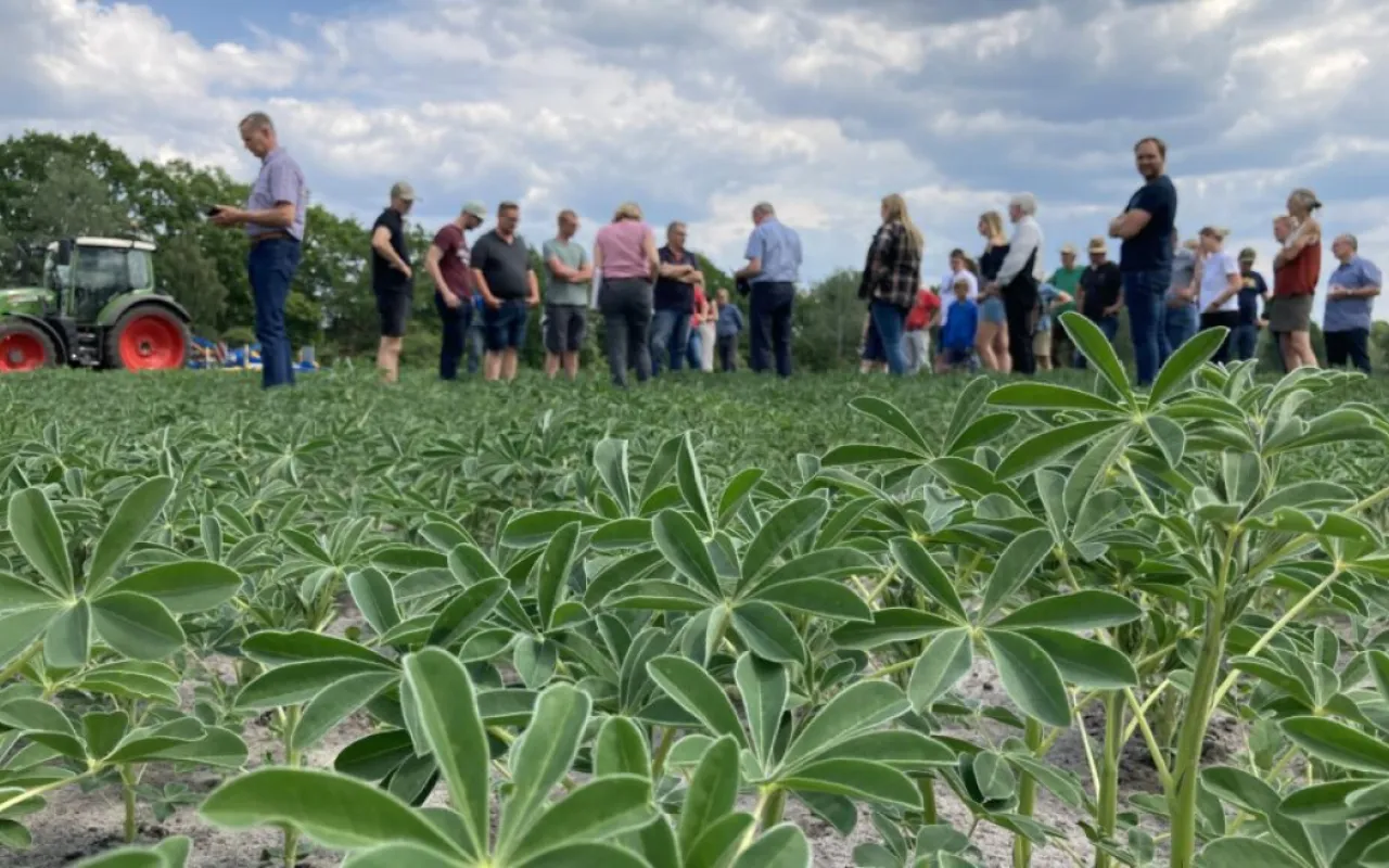 FINKA zeigt wirksame Wege für mehr Biodiversität auf dem Acker
