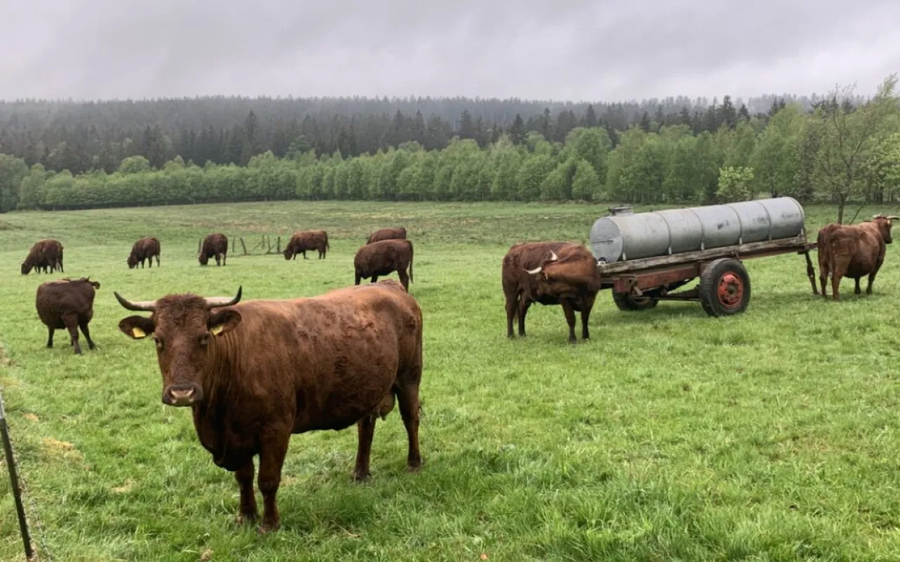 Wissen, woher die Lebensmittel kommen