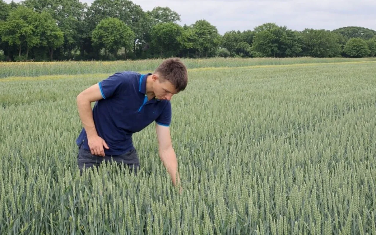 Pflanzen gegen Krankheiten für die Zukunft fit machen