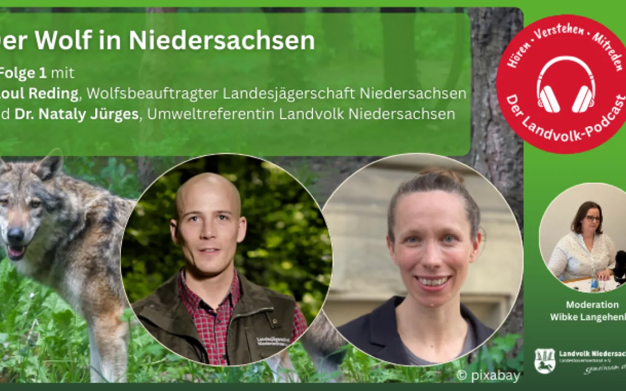 Der Wolf in Niedersachsen: Geschichte und Zukunft