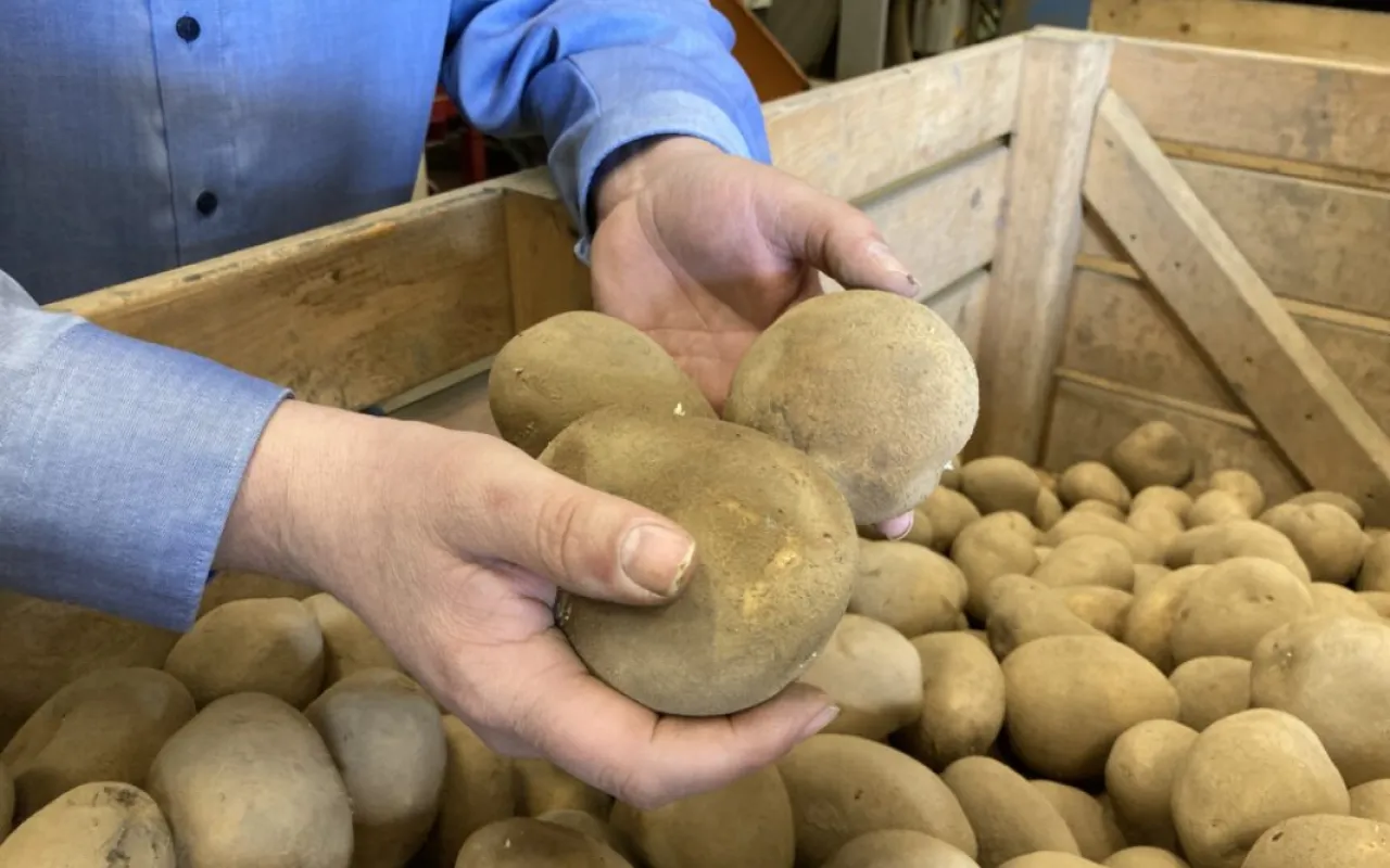 Große Spannbreite zwischen Import und Überschuss