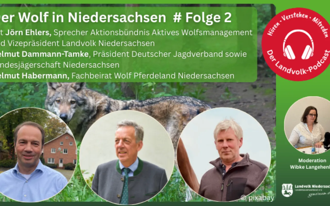 Wolfspolitik auf dem Prüfstand