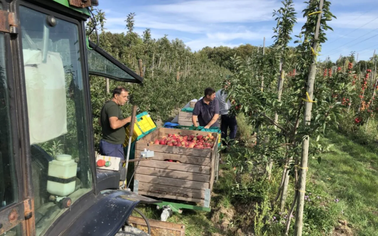 Mindestlohn: Sonderregelung für Saisonarbeitskräfte ist zulässig