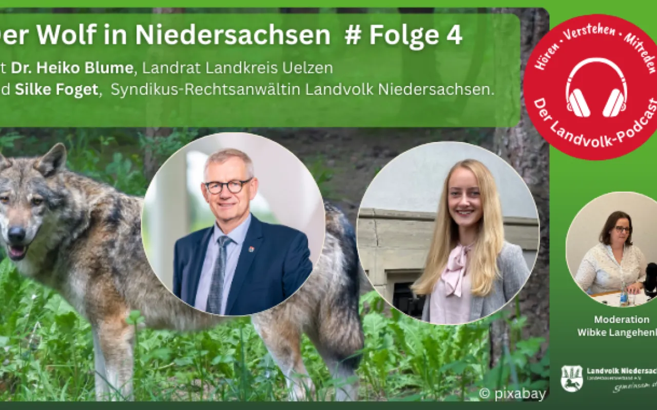 Rechtssichere Entnahme von Wölfen möglich?