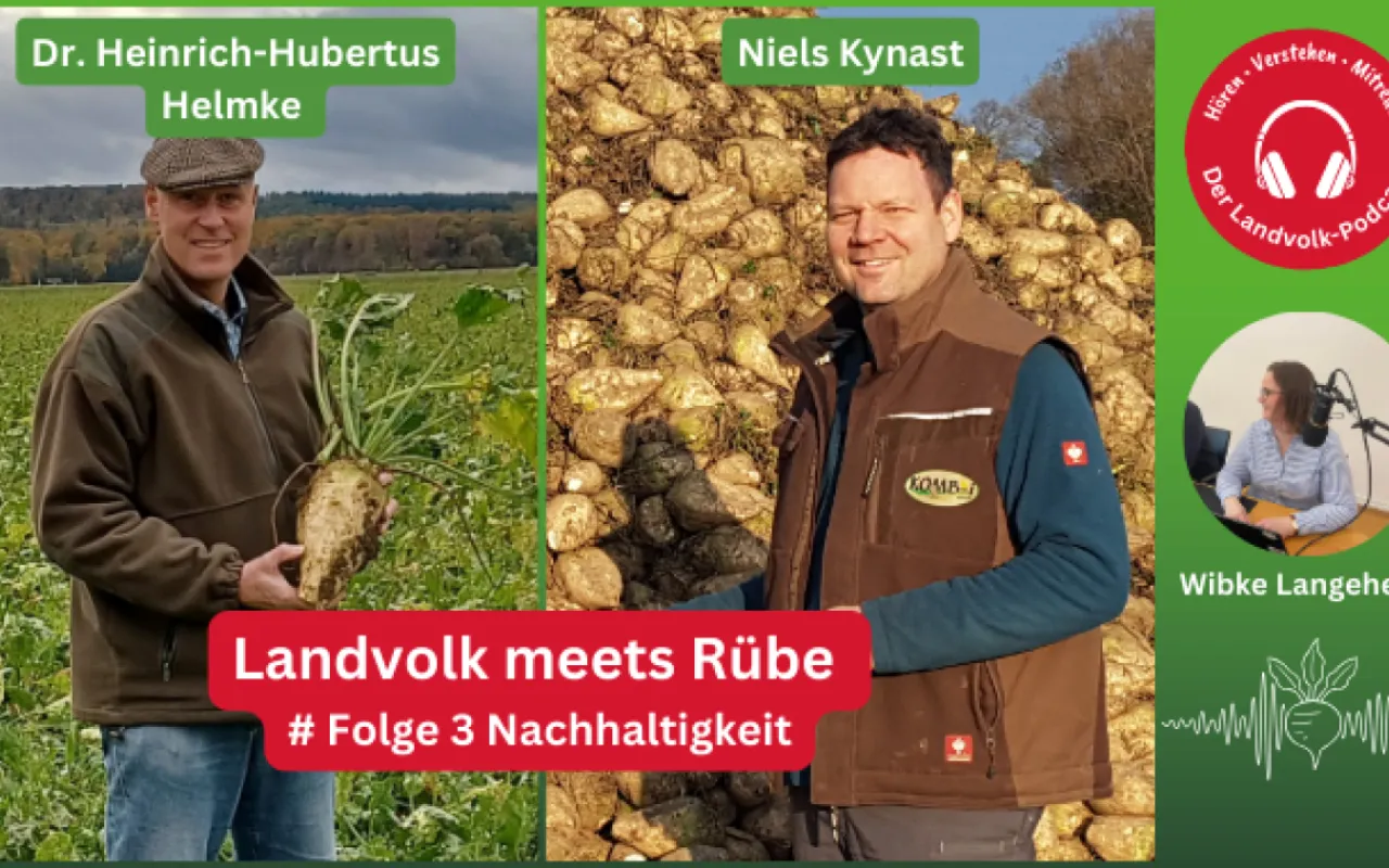 Wie nachhaltig ist die Zuckerrübe?