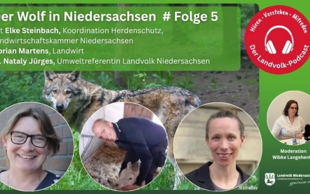 Herdenschutz: Zwischen Praxis, Kosten und Politik