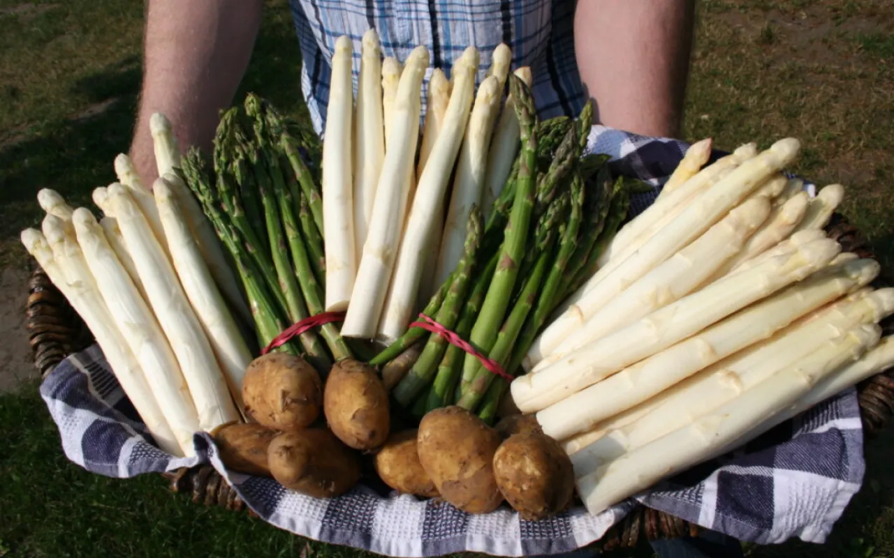 So schmeckt Ostern: Eier, Spargel und Lamm