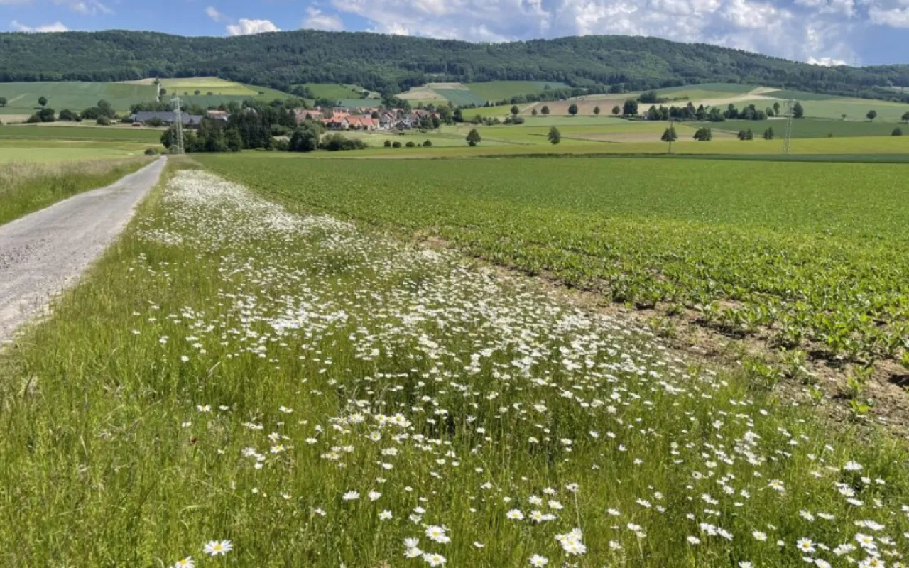 Jetzt Wegränder in Niedersachsen planen