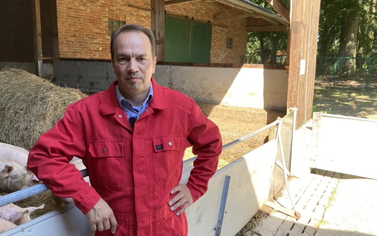 Herbe Verluste pro Schwein: Landvolk schlägt Alarm