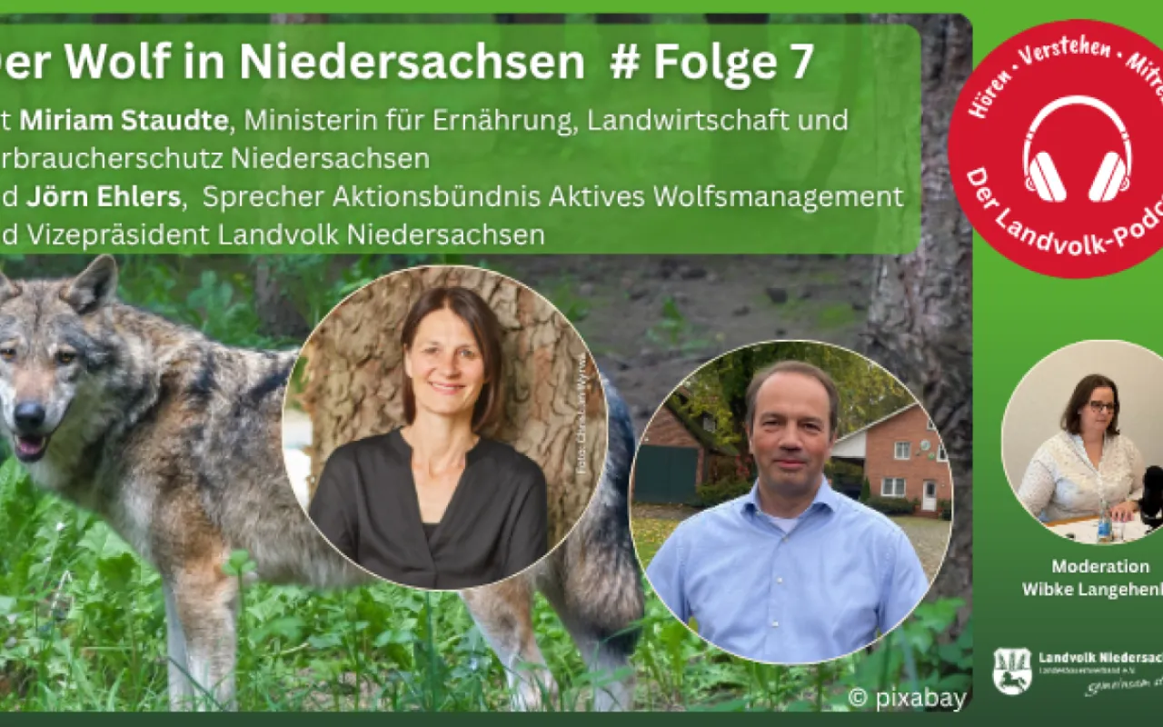 Wolfsmanagement: Einigkeit endet bei der Umsetzung