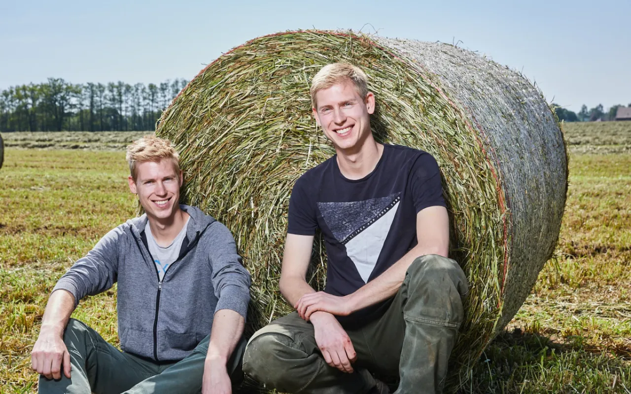 Von der Erzeugung direkt in die Region