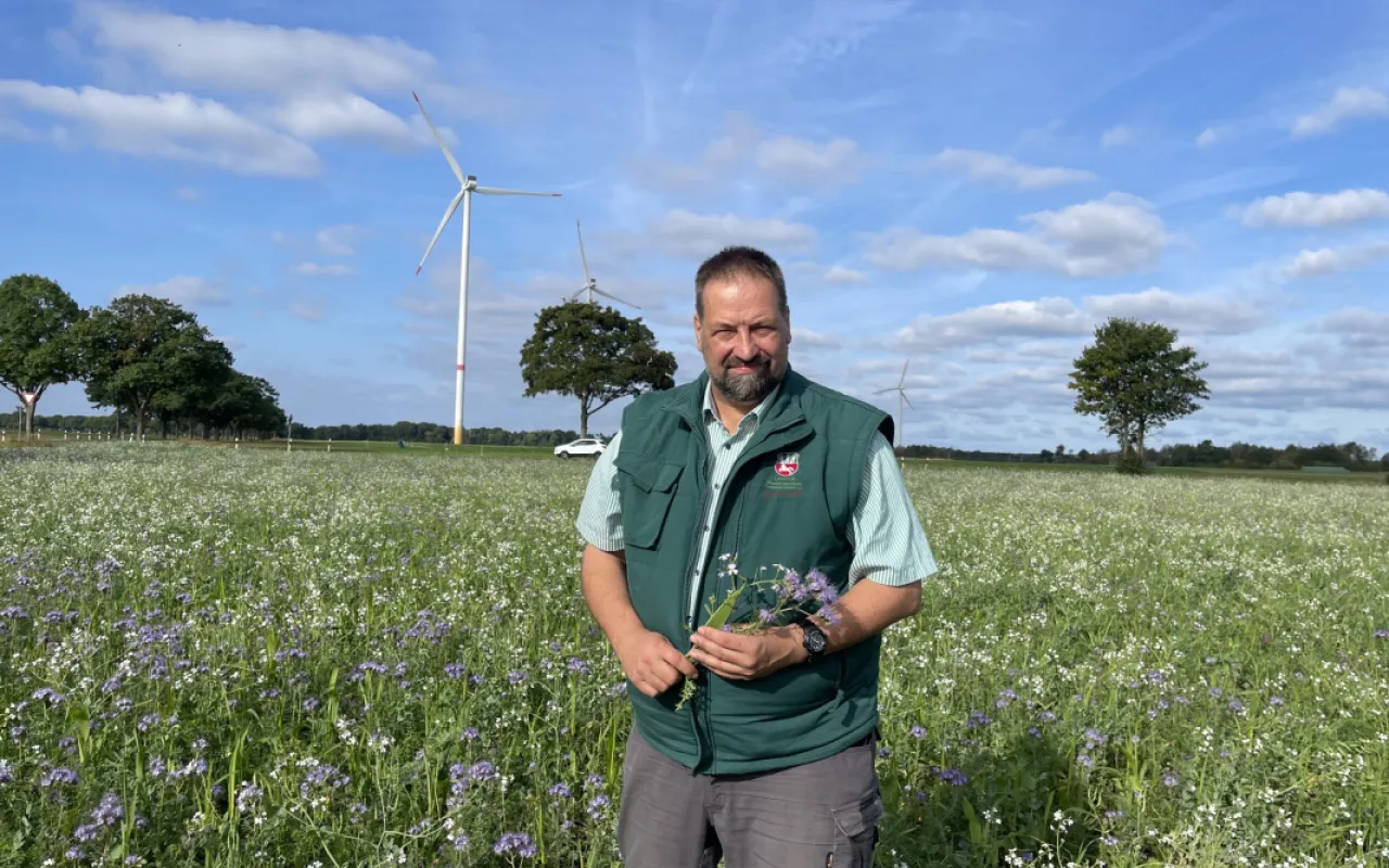 EEG 2027: Landvolk fordert Streichung des Windmietdeckels