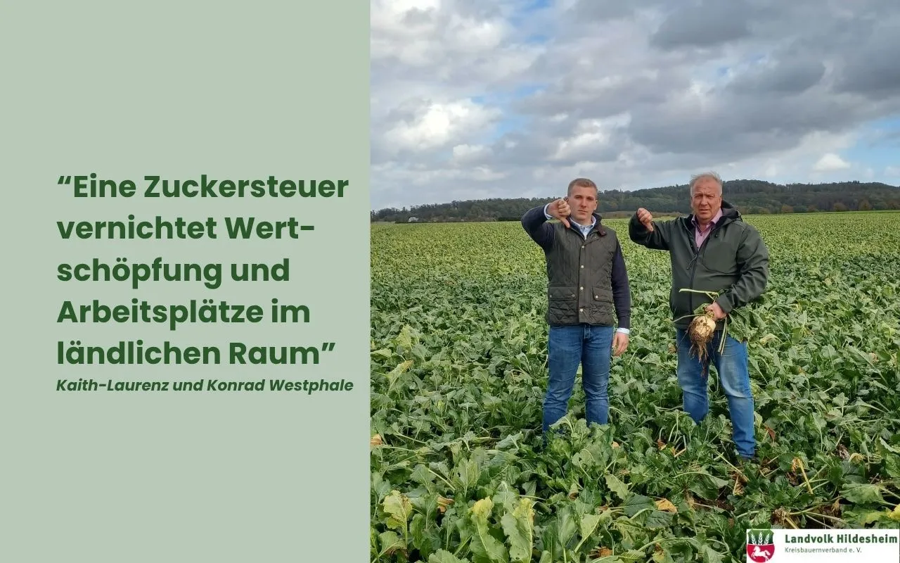 Nein zur Zuckersteuer