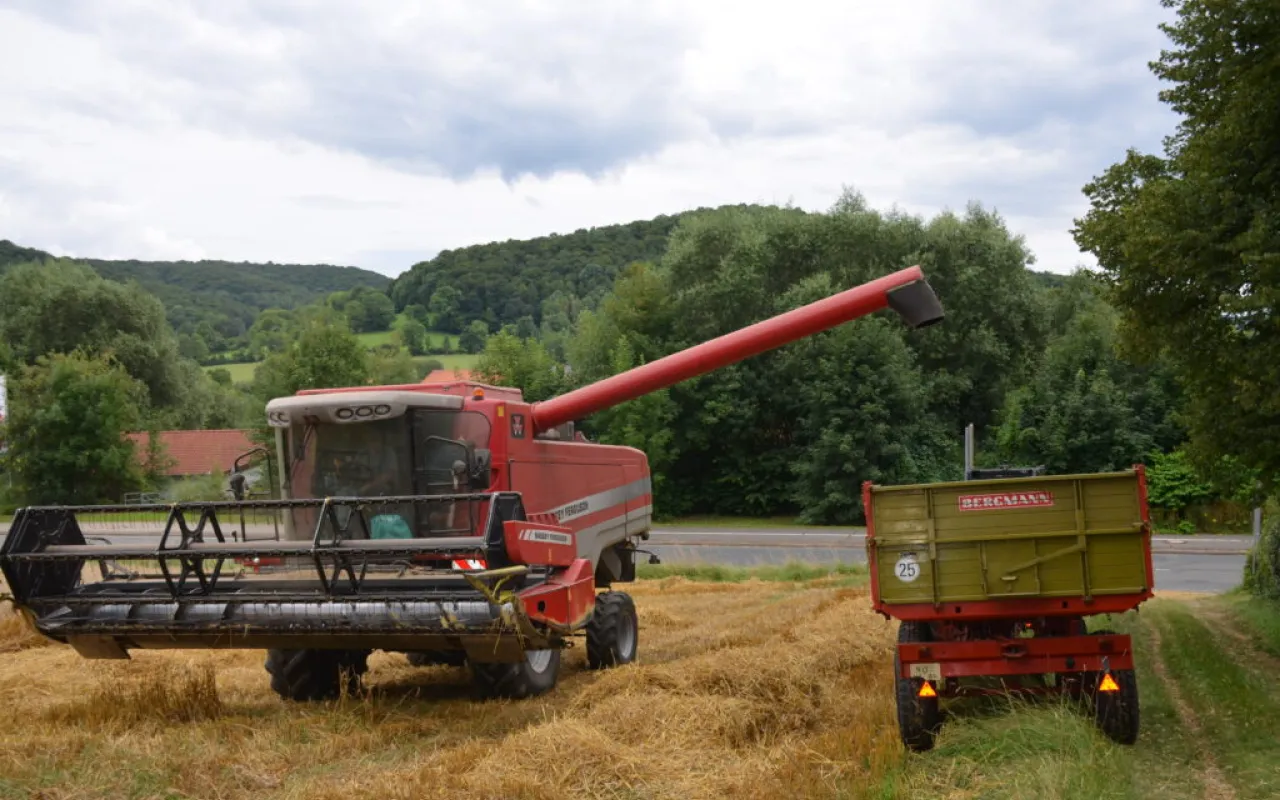Niedersachsens Landwirte verzeichnen Ernteverluste
