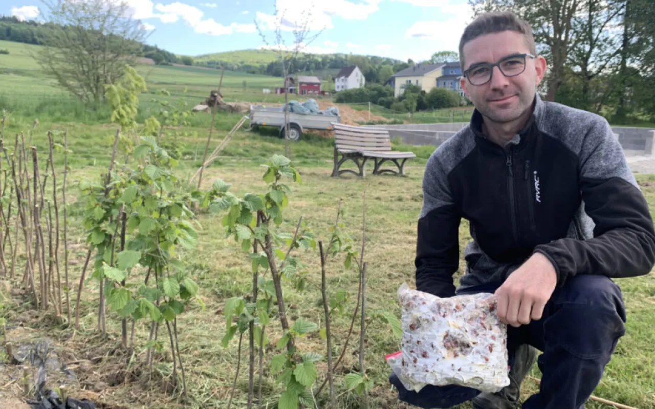 Wenn aus Nüssen Pilze werden