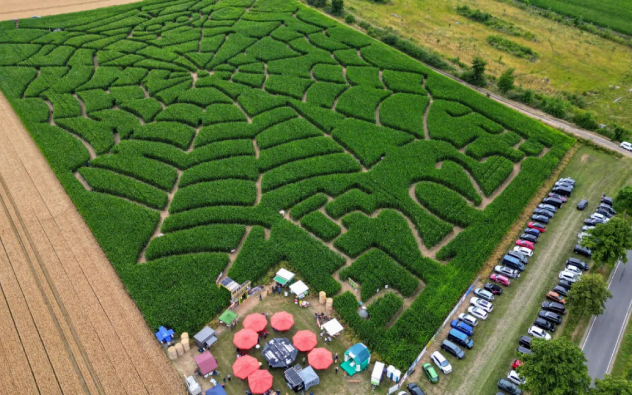 Maislabyrinthe: Niedersachsens Landwirte schaffen Erlebniswelten