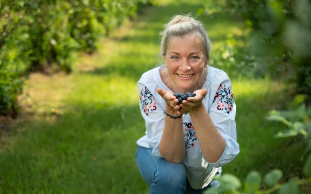 Bickbeernhof begeistert Besucher mit Bio-Blaubeeren