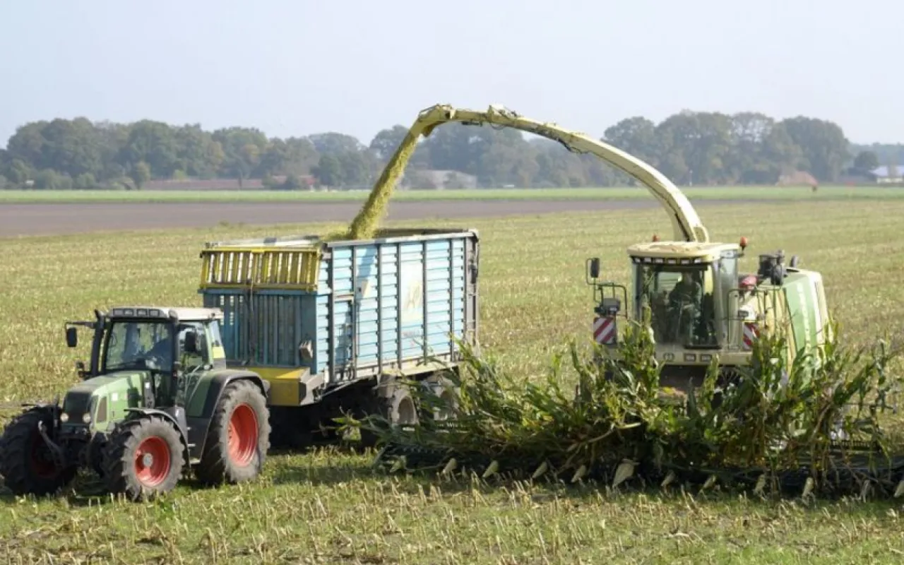 Nach der Getreideernte ist vor der Maisernte