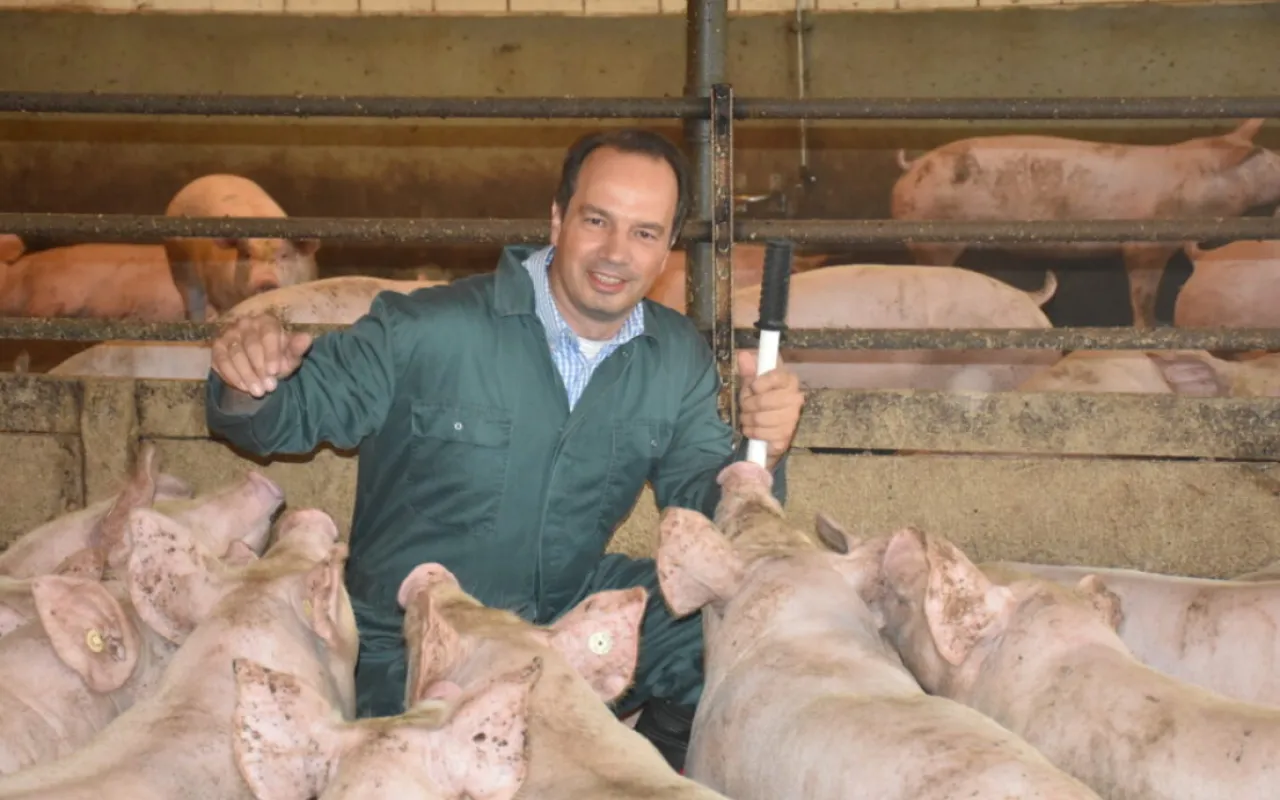 Landvolk: Ende des Bundesprogramms Umbau Tierhaltung ist ein fatales Signal