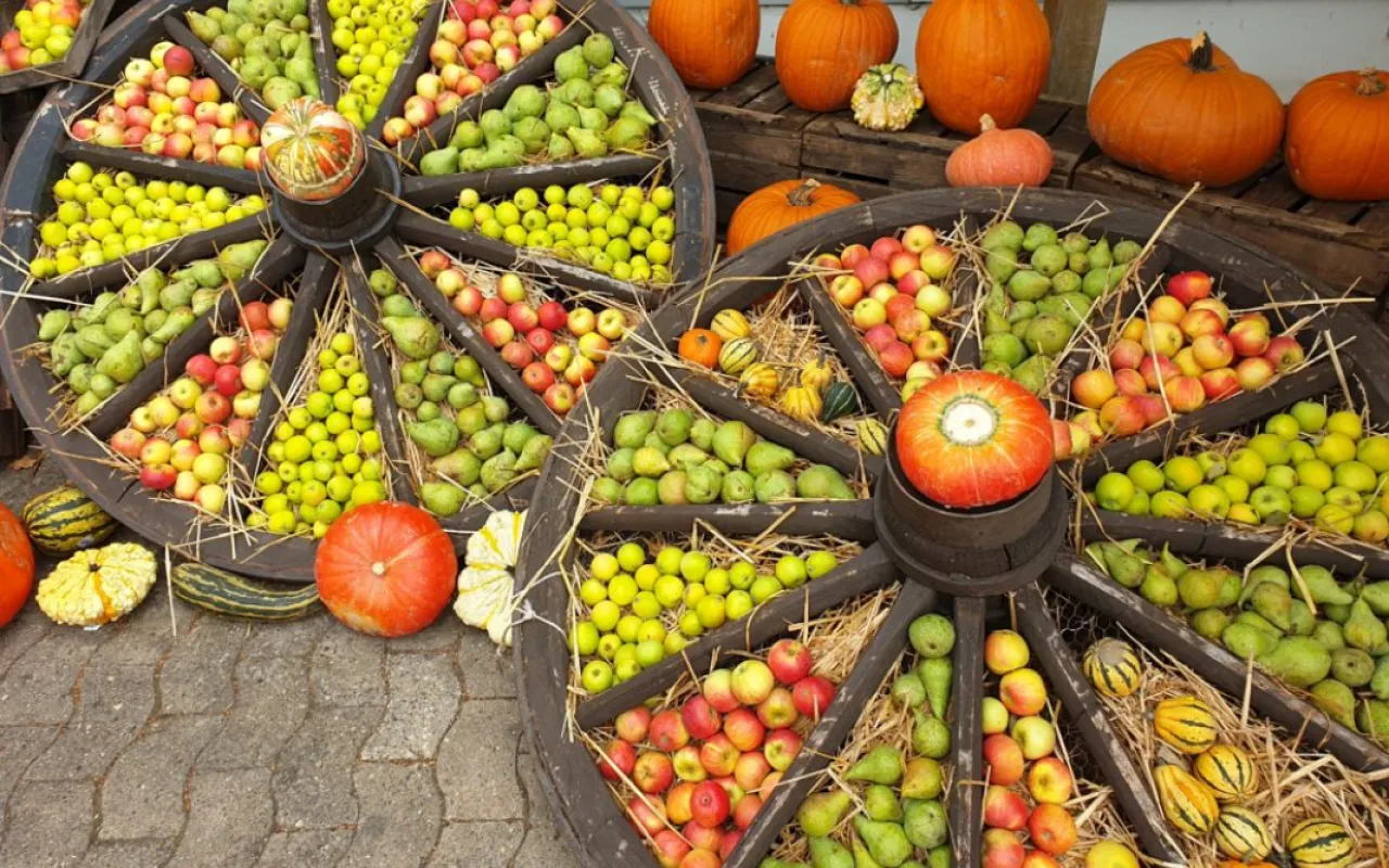 Erntezeit ist Feierzeit: Niedersachsen feiert Erntedank
