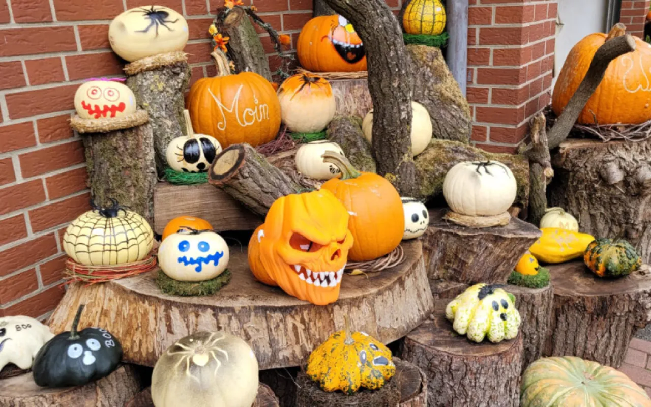 Hofläden bieten Kürbisse in allen Formen und Farben