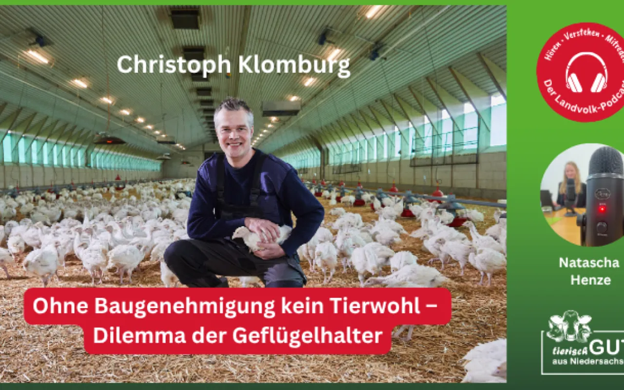 Dilemma der Geflügelhalter: Ohne Baugenehmigung kein Tierwohl