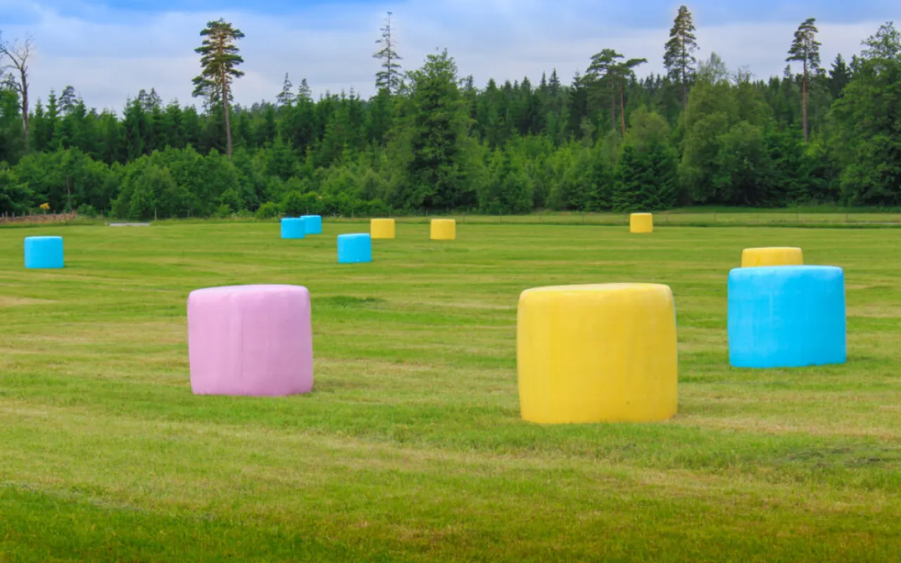 Bauern weisen mit bunten Ballen auf Krebsvorsorge hin