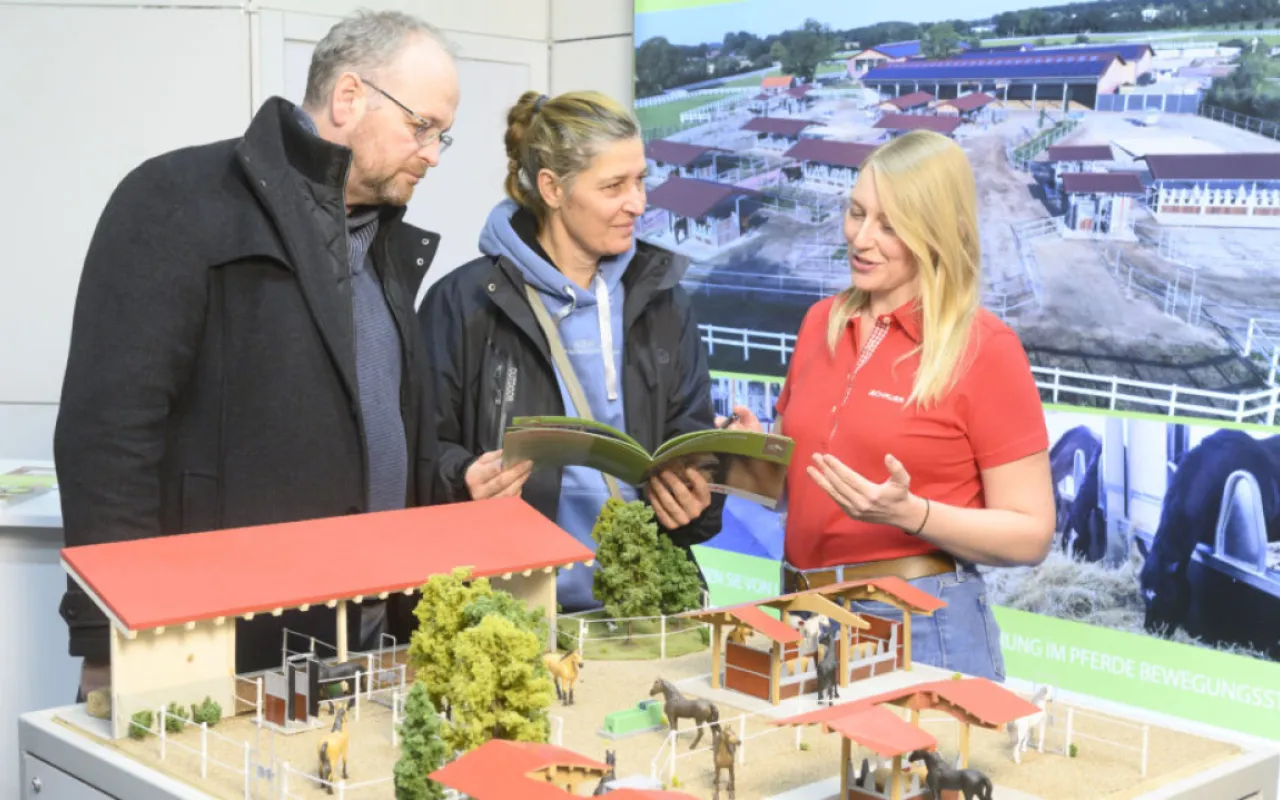Pferdehaltung: Zukunft gestalten, Tierwohl stärken