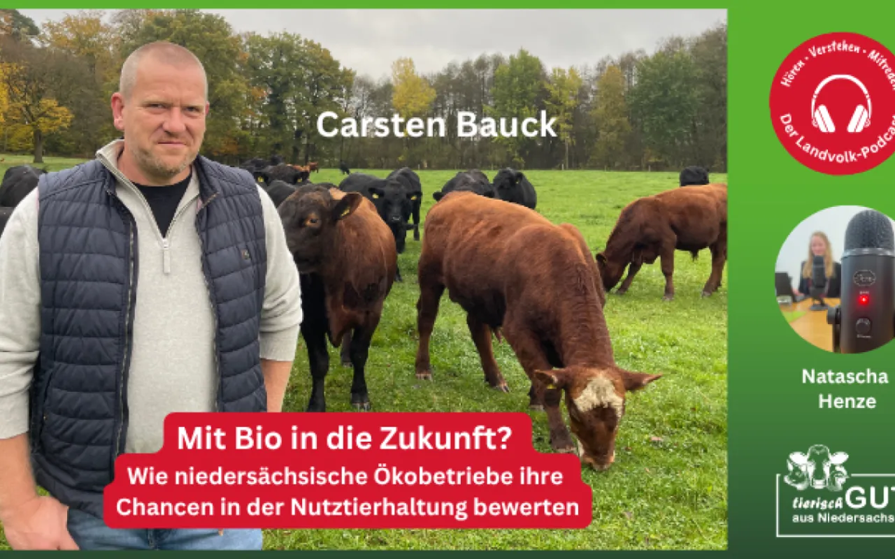 Herausforderungen und Chancen der Öko-Tierhaltung