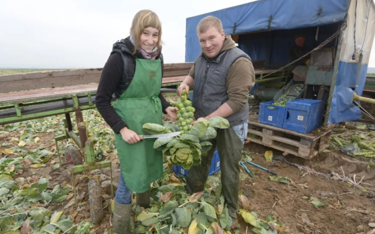 Wintergemüse wärmt Leib und Seele