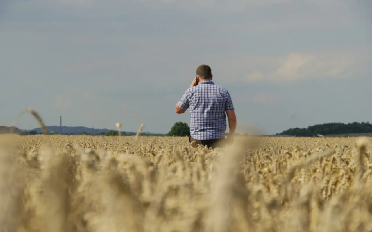 Beratung und Mediation: Gemeinsam Lösungen finden