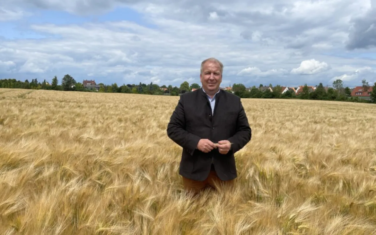 Viel Ernte, wenig Erlös: Getreidemärkte unter Druck