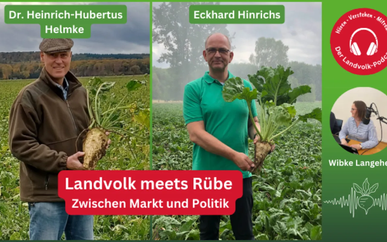 Zuckermarkt weiter unter Druck