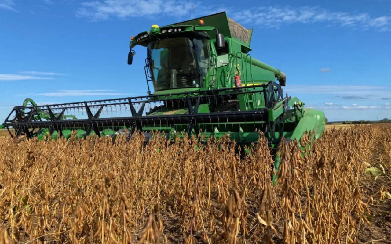 Sojaanbau: Wie die Bohne Niedersachsen erobert