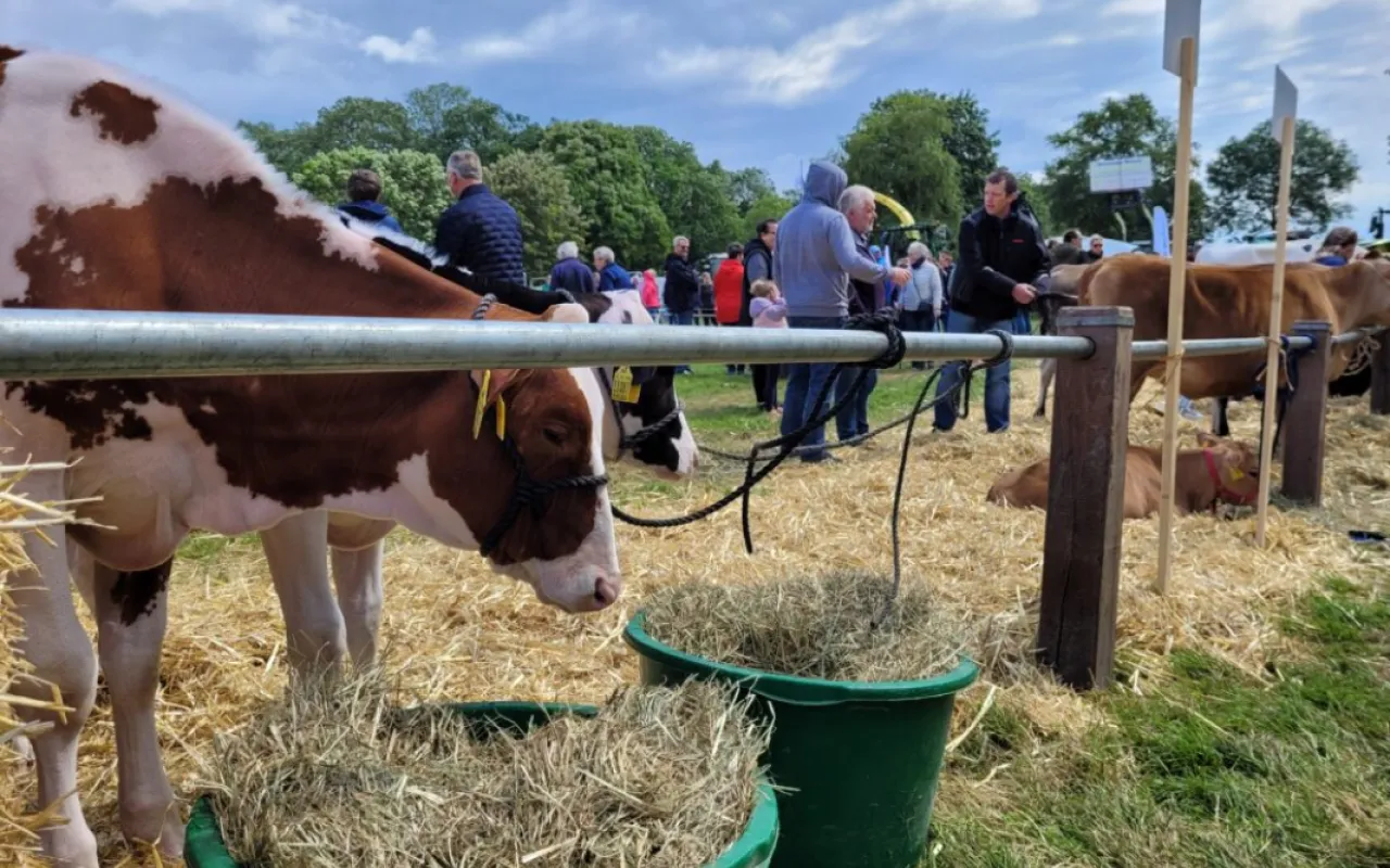 Landwirtschaft am „Tag des offenen Hofes“ hautnah erleben