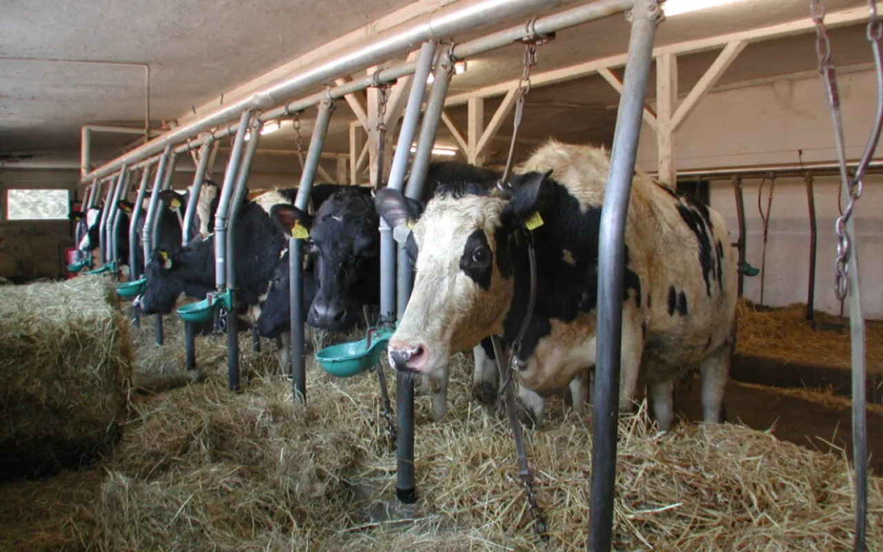 Landwirtschaft erwartet zugesagte Fördermittel und Genehmigungen statt Aktionismus