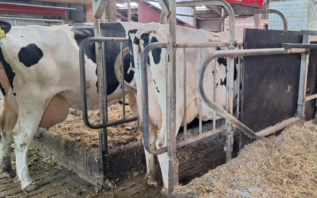 Starkes Signal für eine abgesicherte Klimastrategie