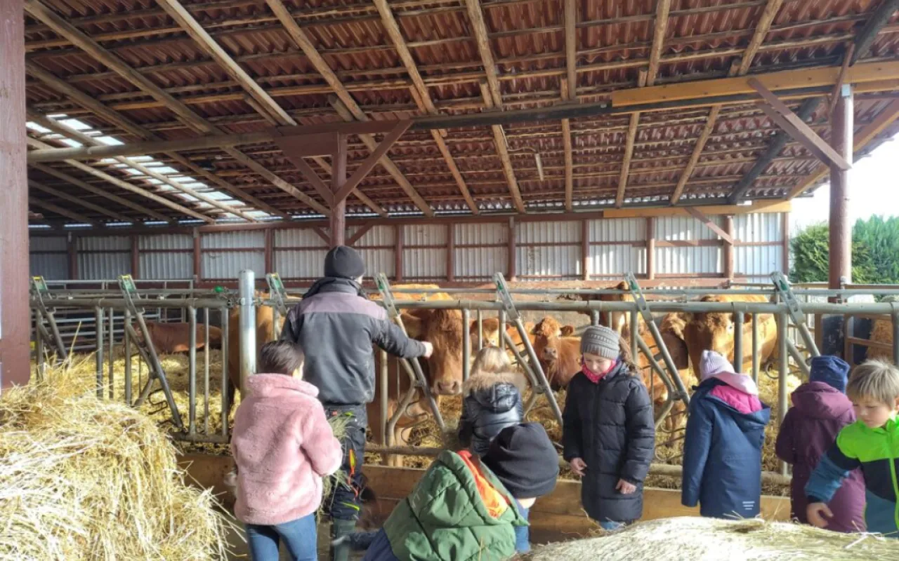 Bauernhof statt Klassenzimmer